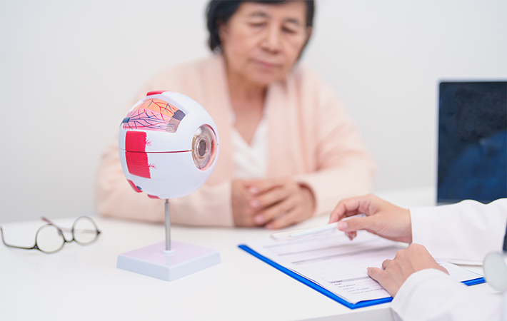 Older woman sitting an Optometrist office. the doctor is pointing at a large anatomical model of an eye.